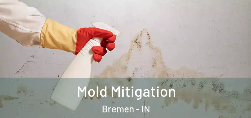 Mold Mitigation Bremen - IN