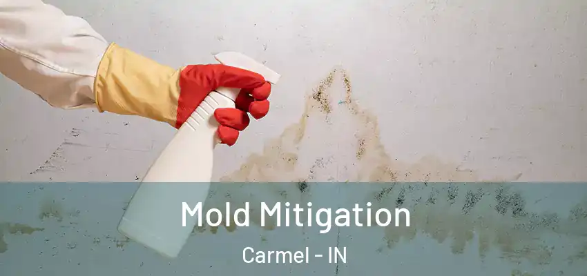  Mold Mitigation Carmel - IN