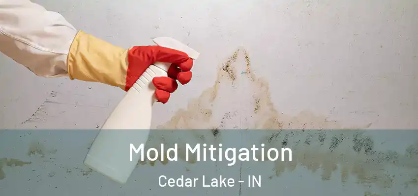  Mold Mitigation Cedar Lake - IN