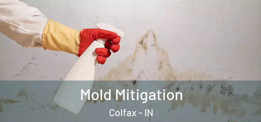 Mold Mitigation Colfax - IN