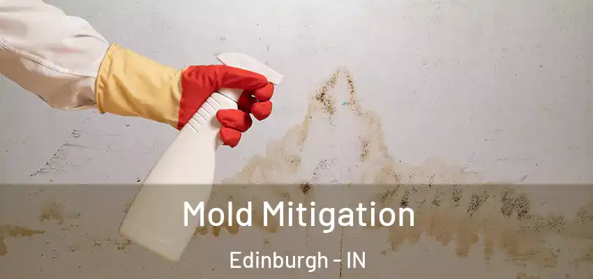  Mold Mitigation Edinburgh - IN