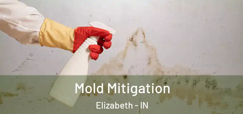  Mold Mitigation Elizabeth - IN