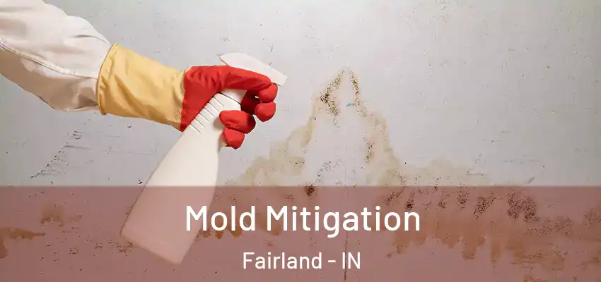 Mold Mitigation Fairland - IN