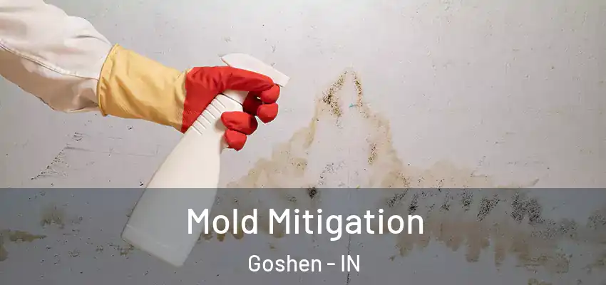  Mold Mitigation Goshen - IN