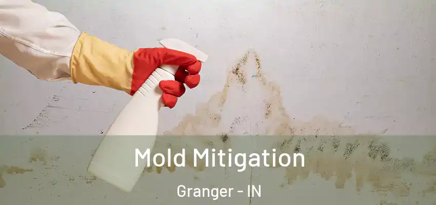 Mold Mitigation Granger - IN