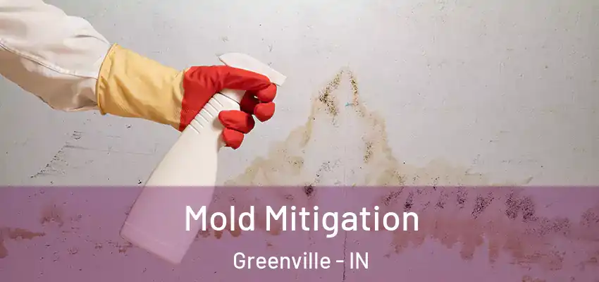  Mold Mitigation Greenville - IN