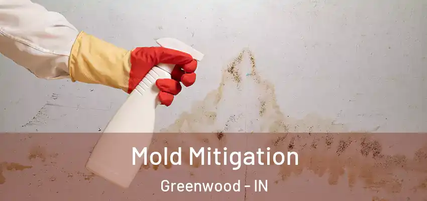  Mold Mitigation Greenwood - IN