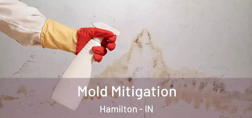 Mold Mitigation Hamilton - IN