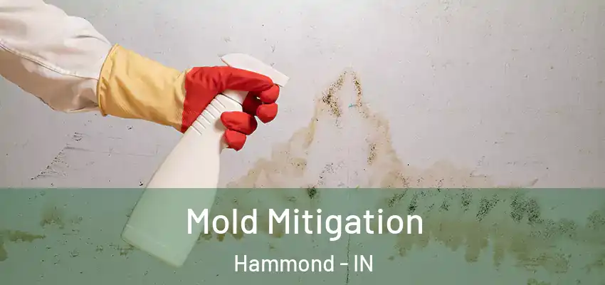  Mold Mitigation Hammond - IN