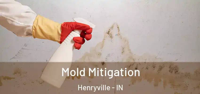  Mold Mitigation Henryville - IN