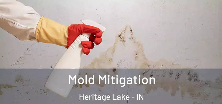 Mold Mitigation Heritage Lake - IN