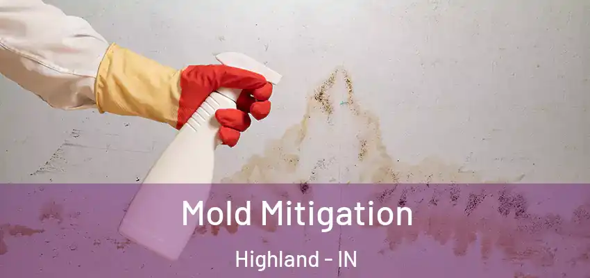  Mold Mitigation Highland - IN