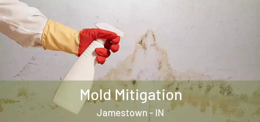Mold Mitigation Jamestown - IN