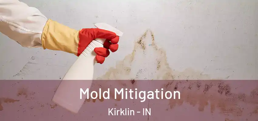 Mold Mitigation Kirklin - IN