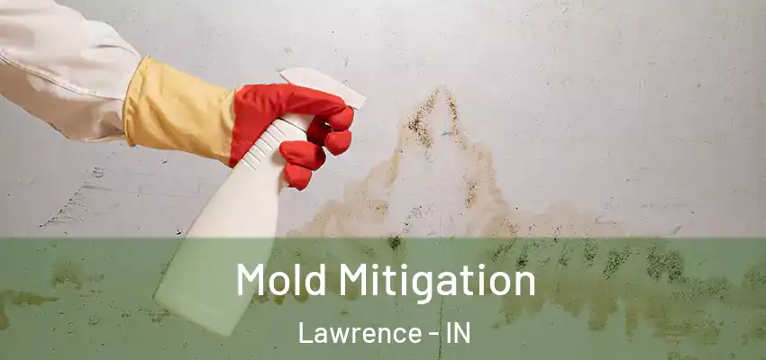 Mold Mitigation Lawrence - IN