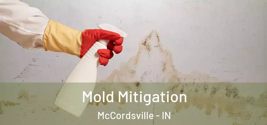 Mold Mitigation McCordsville - IN