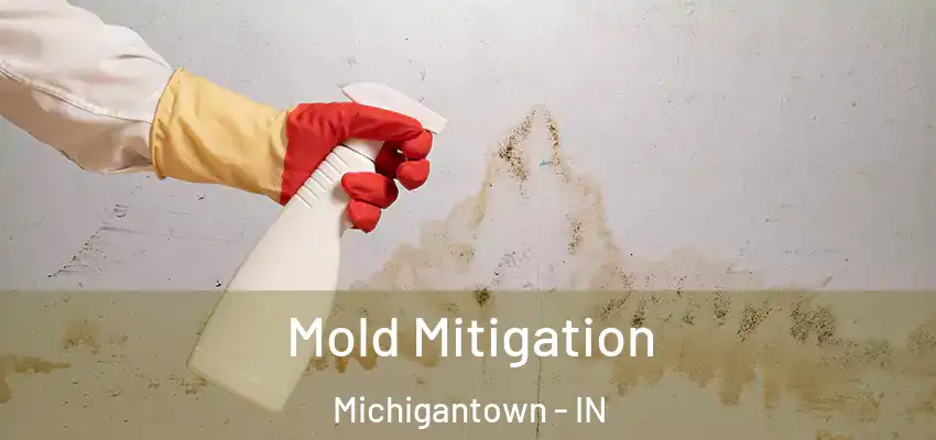 Mold Mitigation Michigantown - IN