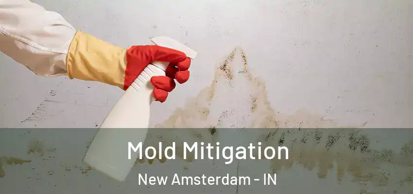  Mold Mitigation New Amsterdam - IN