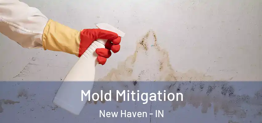  Mold Mitigation New Haven - IN