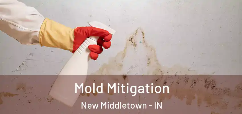  Mold Mitigation New Middletown - IN