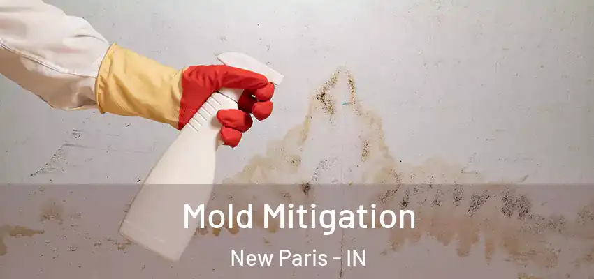  Mold Mitigation New Paris - IN