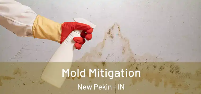  Mold Mitigation New Pekin - IN