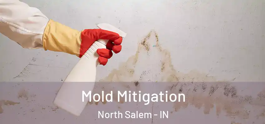 Mold Mitigation North Salem - IN