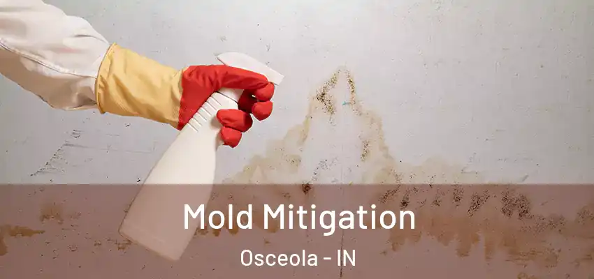  Mold Mitigation Osceola - IN