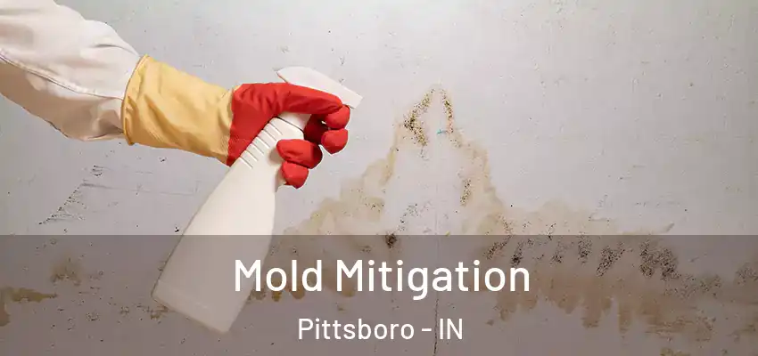 Mold Mitigation Pittsboro - IN