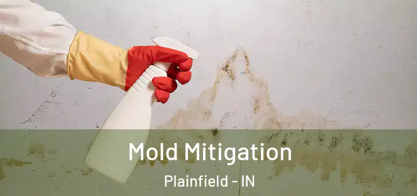 Mold Mitigation Plainfield - IN