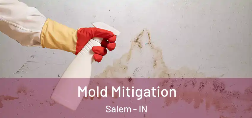 Mold Mitigation Salem - IN