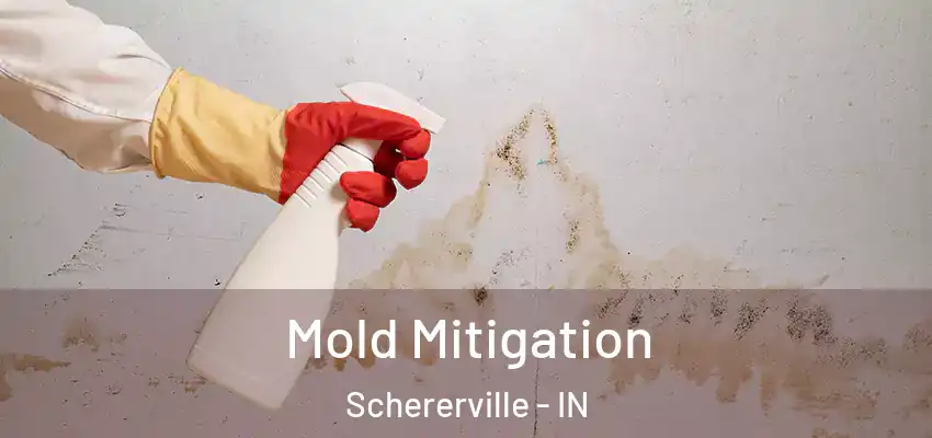  Mold Mitigation Schererville - IN