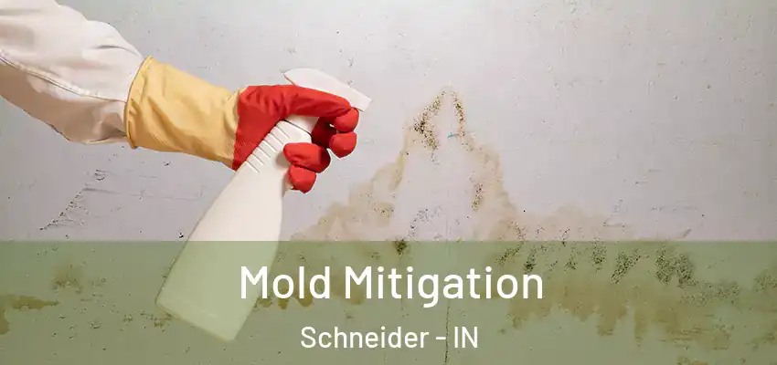 Mold Mitigation Schneider - IN