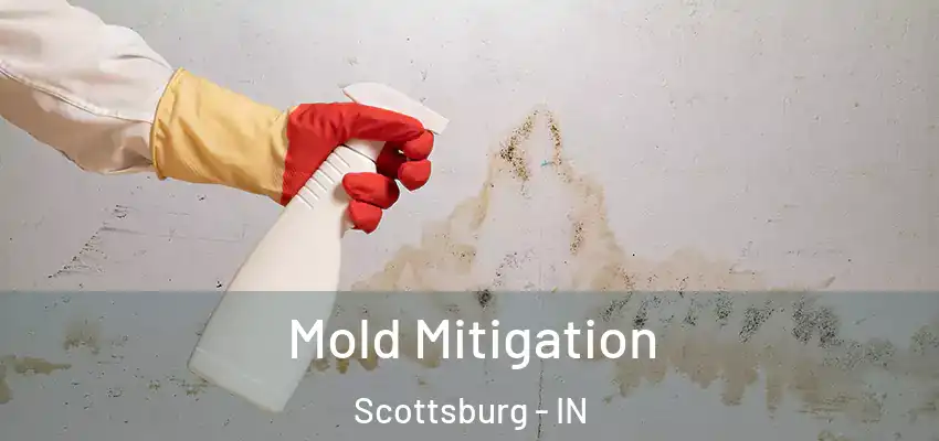  Mold Mitigation Scottsburg - IN