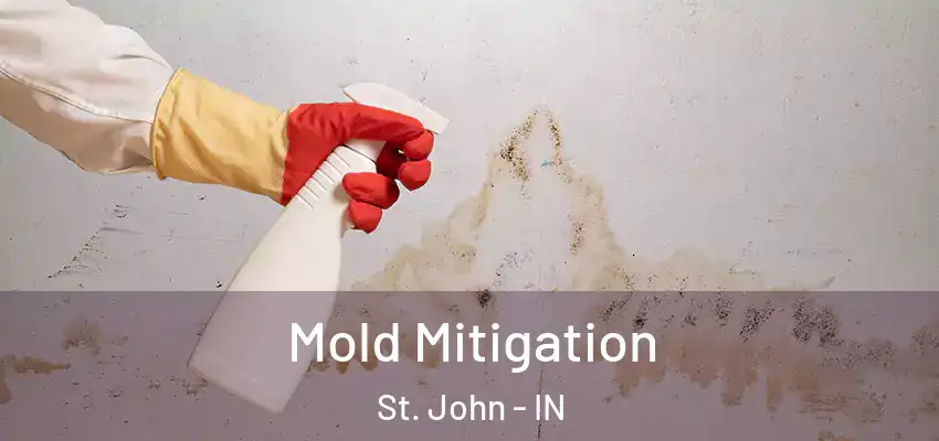  Mold Mitigation St. John - IN