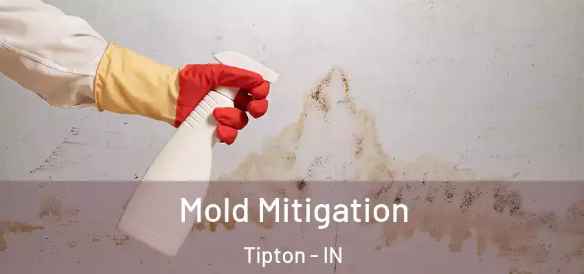 Mold Mitigation Tipton - IN