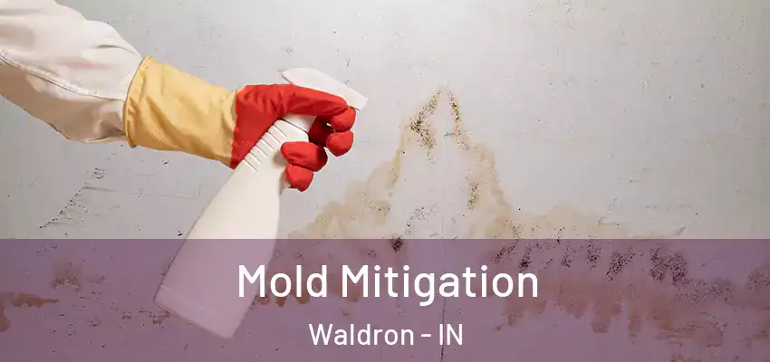  Mold Mitigation Waldron - IN