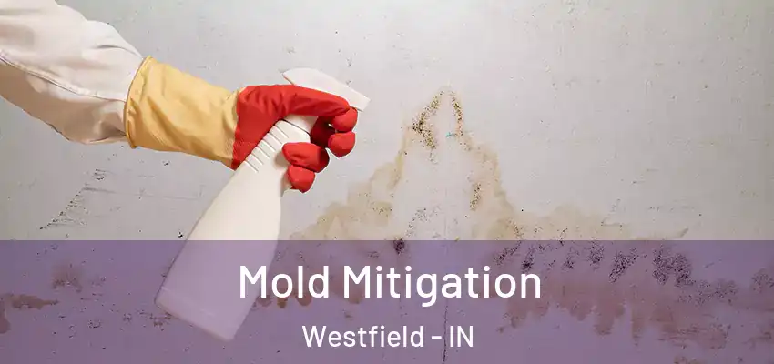 Mold Mitigation Westfield - IN