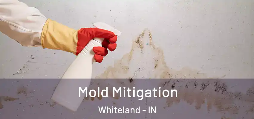  Mold Mitigation Whiteland - IN