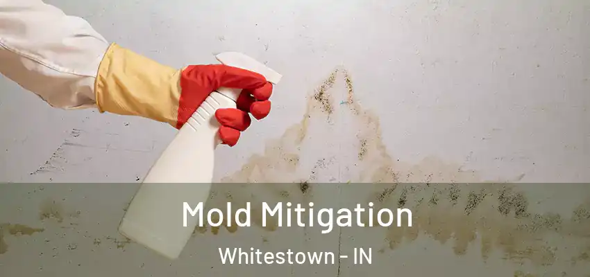 Mold Mitigation Whitestown - IN