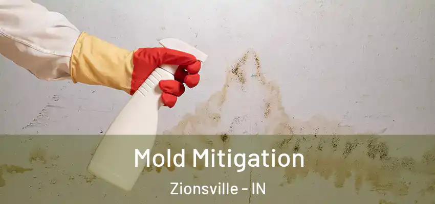 Mold Mitigation Zionsville - IN