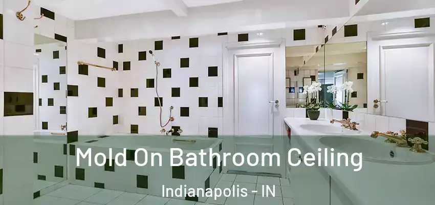  Mold On Bathroom Ceiling Indianapolis - IN