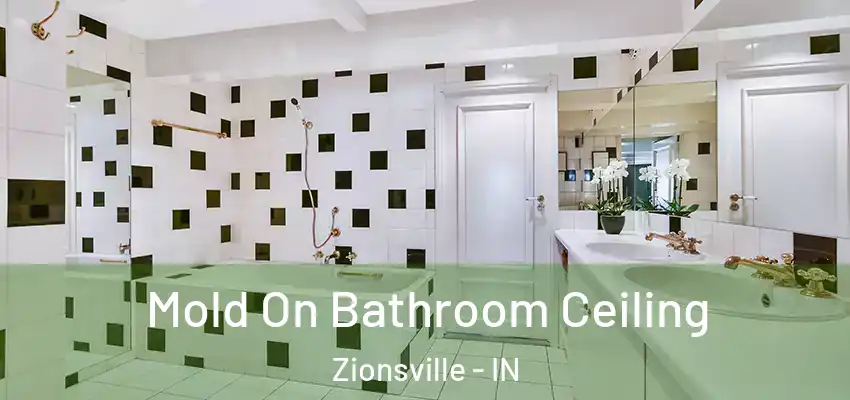  Mold On Bathroom Ceiling Zionsville - IN