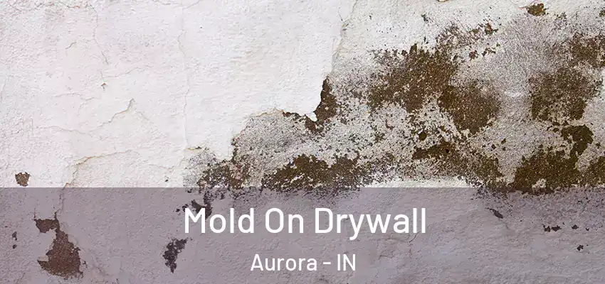  Mold On Drywall Aurora - IN