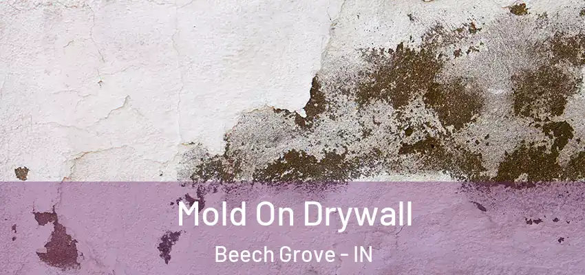  Mold On Drywall Beech Grove - IN
