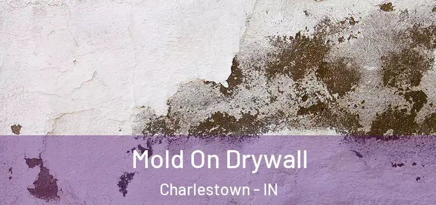 Mold On Drywall Charlestown - IN