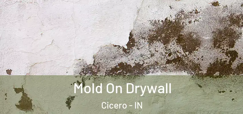 Mold On Drywall Cicero - IN