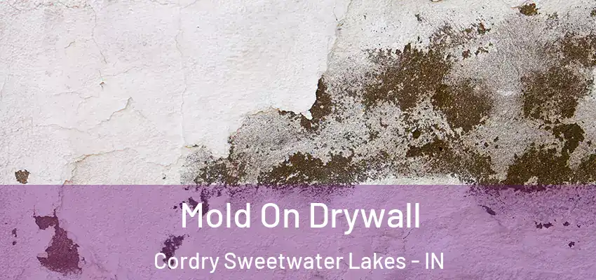 Mold On Drywall Cordry Sweetwater Lakes - IN