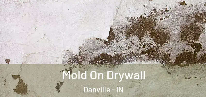  Mold On Drywall Danville - IN