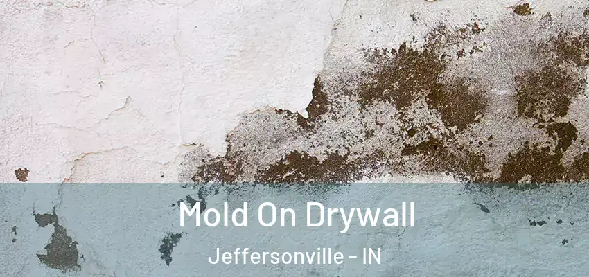  Mold On Drywall Jeffersonville - IN